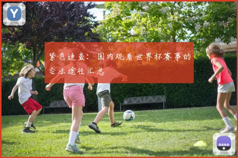 紧急速查：国内观看世界杯赛事的合法途径汇总