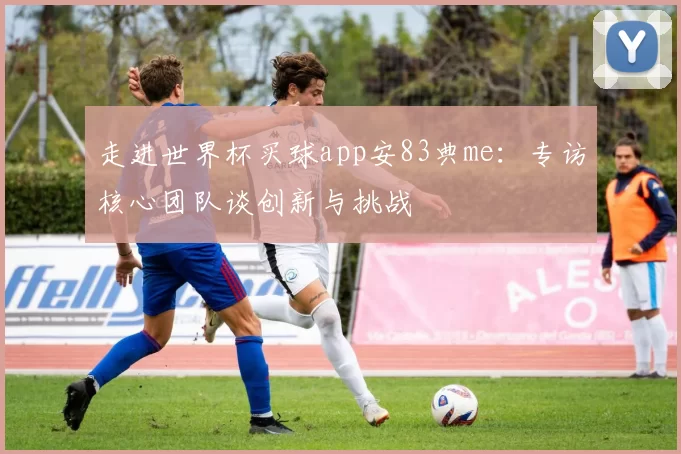 走进世界杯买球app安83典me:专访核心团队谈创新与挑战
