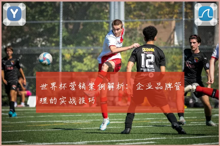 世界杯营销案例解析：企业品牌管理的实战技巧