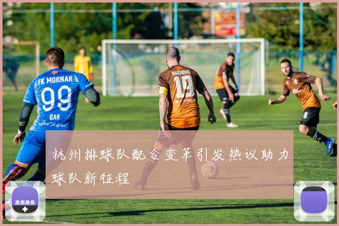 杭州排球队配合变革引发热议助力球队新征程