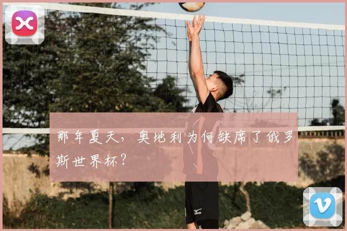 那年夏天,奥地利为何缺席了俄罗斯世界杯?