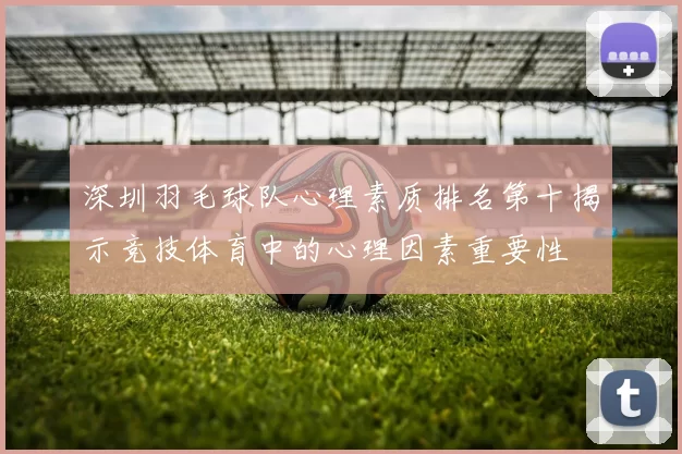 深圳羽毛球队心理素质排名第十揭示竞技体育中的心理因素重要性