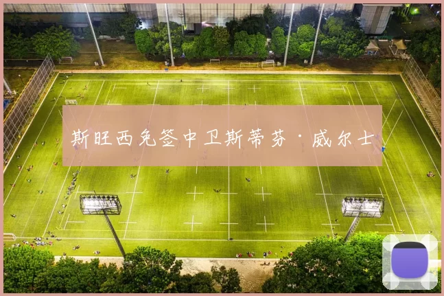 斯旺西免签中卫斯蒂芬·威尔士